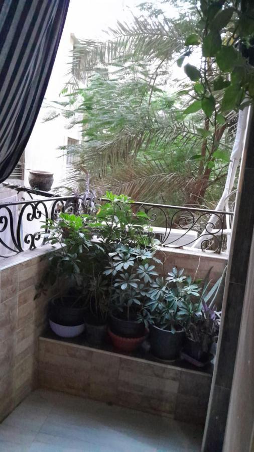 شقه * Cairo